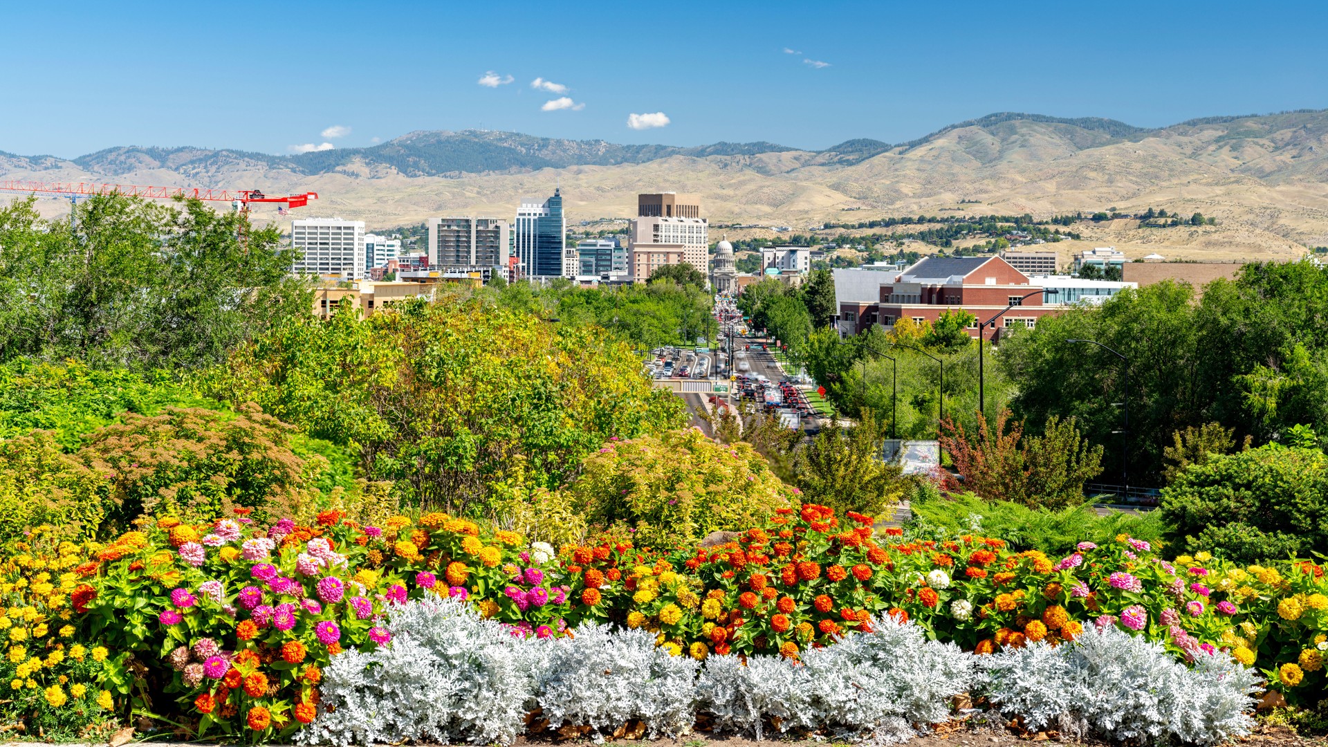 City Park flowers and Boise skyline on a summer afternoon
